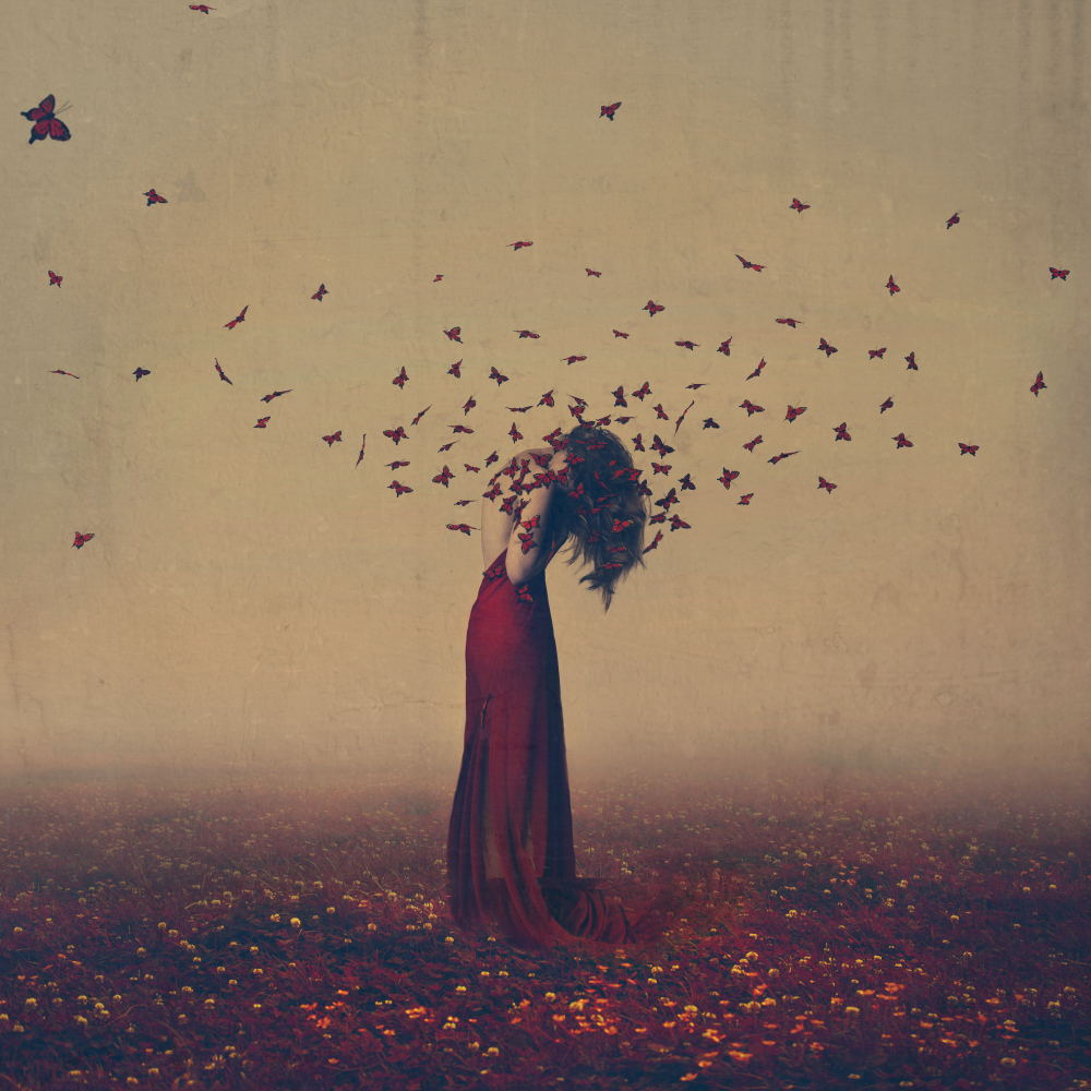 FEATURED ARTIST | BROOKE SHADEN