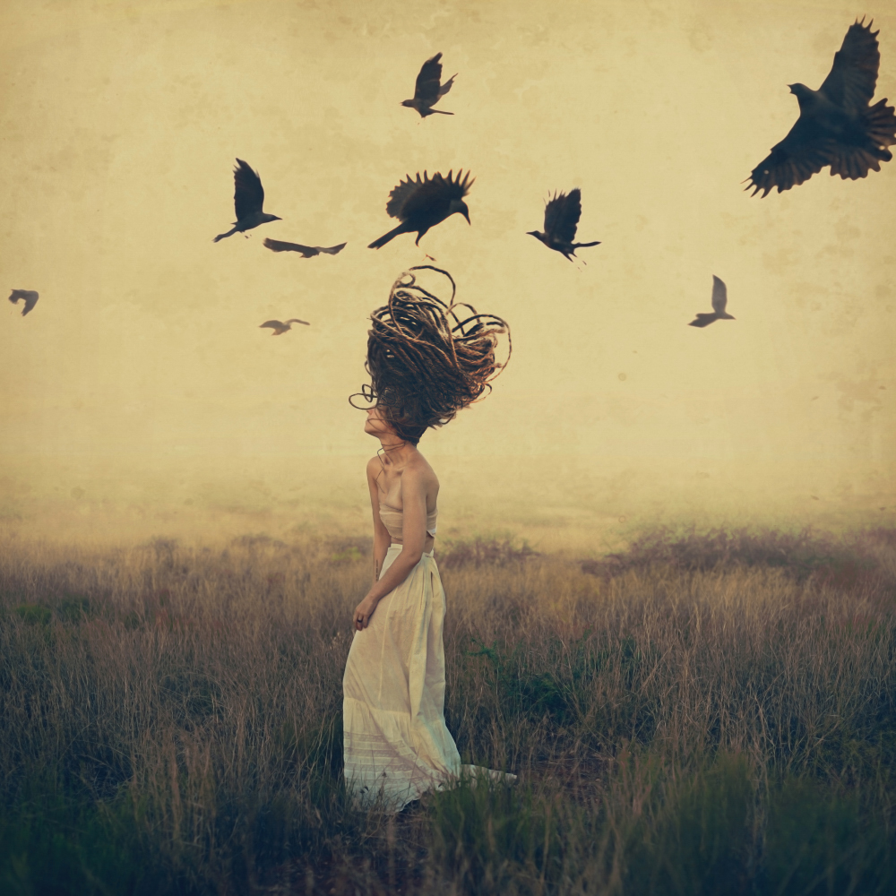 FEATURED ARTIST | BROOKE SHADEN